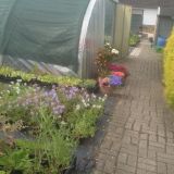 Ansicht Gärtnerei (klein)